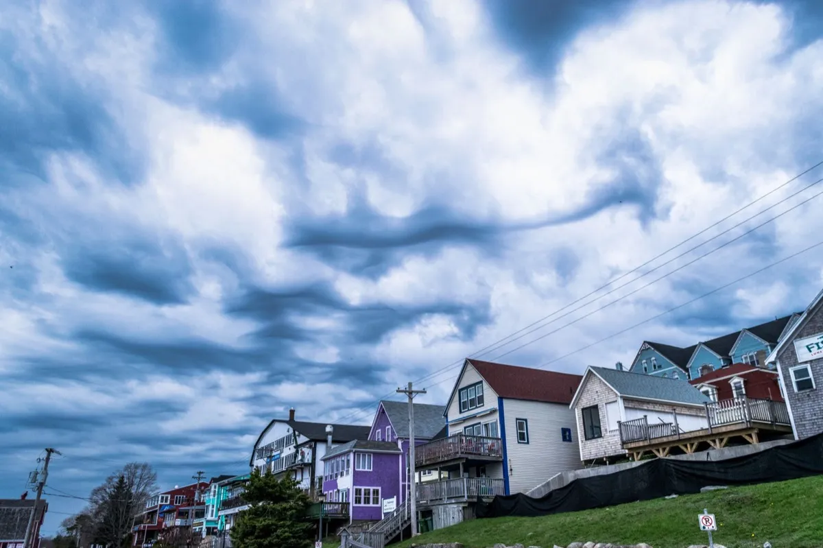 Storm Damage Restoration in Sierra Vista, AZ